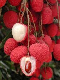 Lychee Fruit Very Tasty Fruits Exotiques Idee Legume Fruits Tropicaux