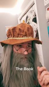 Harry Potter Did You Put Your Name in The Goblet of Fire