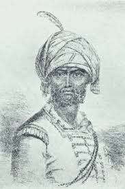 Hyder Ali - Wikipedia