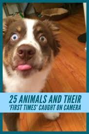 Aryana Fisher Aryanafisher35 - Profile Pinterest