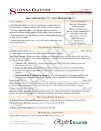 us resume format professional