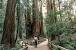 Yosemite National Park