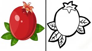 Buahnya dapat dikonsumsi baik dalam keadaan segar maupun olahan. Cara Menggambar Buah Delima Merah Yang Mudah How To Draw A Red Pomegranate For Beginners Youtube