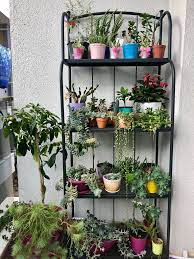 Pin By Asli Dogan On Balkonn Plant Decor Indoor Plant Stand Indoor Plant Shelves Outdoor