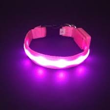 The 25 Best Led Dog Collars Of 2020 Pet Life Today