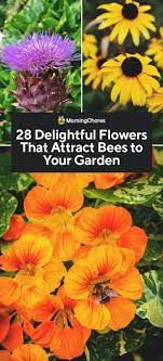 If you don't have a sun garden, plant your bee flowers in containers and place them on a sunny. 28 Delightful Flowers That Attract Bees To Your Garden