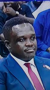 Vetting Committee Chairman's Role in NPP