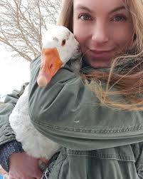 Geese are intelligent,...