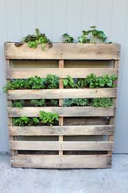 We did not find results for: Diy Pallet Herb Garden Cambria