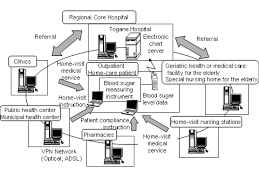 the development of medical networks through ict in japan