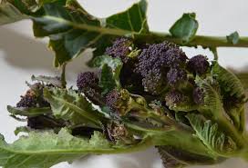 Maybe you would like to learn more about one of these? How To Cook Purple Sprouting Broccoli Seasonal Tasty Vegetable