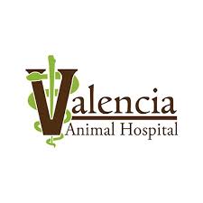 What is the work environment and culture like? 19 Best Tucson Veterinarians Expertise Com