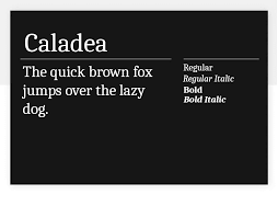This font type is widely used for editorial headlines, newspaper titles, packaging, logos etc. The Best 30 Google Fonts For Your Website Justinmind