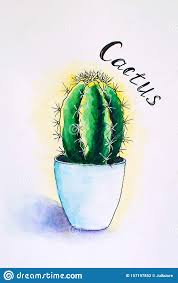 Papel para dibujar con acuarelas. Cactus De Color Agua Pintados A Mano En La Olla Dibujo Acuarela Ilustracia N Foto De Archivo Imagen De Fondo Drenaje 157197852