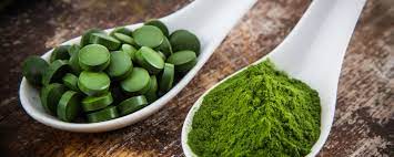 Spirulina Koning Van De Eiwitten