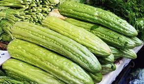 Image result for Cucumis cinereus