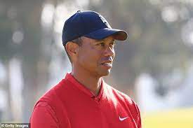 Tiger Woods Suffers Setback In Preparation For Masters As He Is Ruled Out Of Players Championship Daily Mail Online