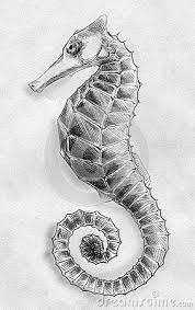 A regular pencil eraser and paper are all you need. Sea Horse Pencil Sketch Sea Animals Drawings Sea Creatures Drawing Pencil Drawings Of Animals