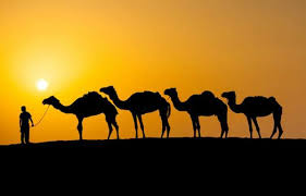 Modal dasar menguasai bahasa inggris. 7 Fakta Menakjubkan Tentang Bahasa Arab Yang Ramai Tak Tahu Iluminasi