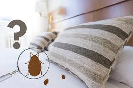 How to find the best pest control company in my area? Bed Bug Company Residential Pest Control Manhattan Huntington Bronx Ny Exterminator Long Island Ny Biotech Nyc Pest Control
