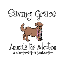 4,979 likes · 291 talking about this. Second Chance Pet Adoptions Home Facebook