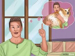 The main difference between a breeder and a rescue is that a rescue may not always have young puppies to choose from. How To Rescue A Corgi 15 Steps With Pictures Wikihow
