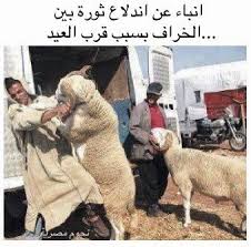 رمى لها ورقہ و هو ماشي اتصلت بہ و قالت لہ : Ø¨ÙˆØ³ØªØ§Øª Ù…Ø¶Ø­ÙƒÙ‡ Ù„Ø¹ÙŠØ¯ Ø§Ù„Ø§Ø¶Ø­Ù‰ Ø¨ÙŠÙˆØªÙŠ