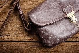 Moisturize the leather with a white shoe cream for leather shoes. How To Remove Mold From Your Leather Bag