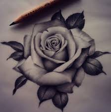 2,000+ vectors, stock photos & psd files. Pinterest Oshslambie Rose Drawing Tattoo Realistic Rose Tattoo Tattoos