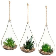 Hanging Succulents In Glass Terrarium Home Artificial Plants B M Succulents In Glass Hanging Succulents Glass Terrarium