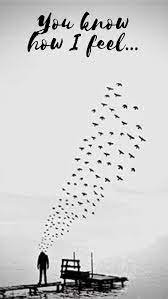 Gm bb birds flying high d d you know how i feel gm bb sun in the sky d d you. Nina Simone Feeling Good Birds Flying High You Know How I Feel Canva Design Birds Flying Canvas Art