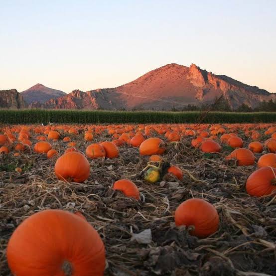 Top Things to Do in Oregon This Fall - Travel Oregon