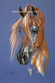 pin by عبدالإله العماري on horses in art horse art drawing horse drawings arabian horse art