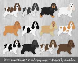 Black And White English Springer Spaniel Hunting Cocker Spaniel Clipart Hunting Dog Breeds Sporting Dogs Etsy In 2020 English Cocker English Cocker Spaniel Sporting Dogs