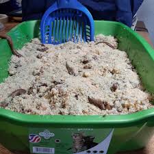 Alibaba.com offers 8,061 tofu cat litter products. I Made A Kitty Litter Cake Don T Worry I Cleaned Out The Litter Box Real Good Before Using It Baking