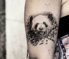 Although they can eat meat, they live mostly on plants and primarily eat t pandas, which do not hibernate, are more closely related to raccoons than bears. Panda Tattoo By Bro Studio Post 18805