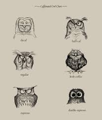 Caffeinated Owl Chart