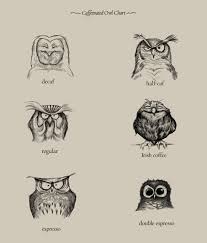 caffeinated owl chart