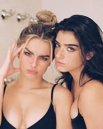 So this is dedicated to the boys that like to comment on my appearance, she started the video. Dixie D Amelio And Addison Rae Wallpapers Wallpaper Cave