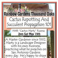 Save palm garden hotel to your lists. Rainbow Gardens San Antonio Current