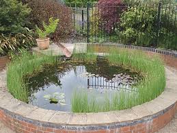 Elevated fish ponds in raised garden beds are the answer. Raised Pond Gallery Small Fish Ponds Garden Ponds Koi Pond