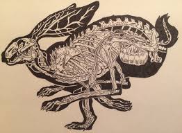 ArtStation - Rabbit Anatomy