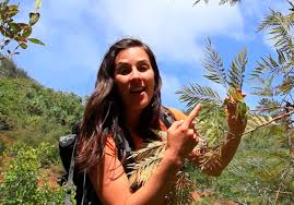 Maybe you would like to learn more about one of these? Silky Oak Untamed Science