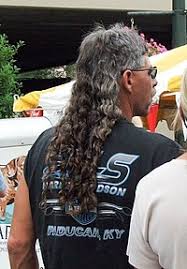 (wbma) — ethan boldaz sparked a trend in randolph county when he grew his mullet at the start of the summer. Mullet Wiktionary