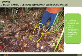 Oleh karena itu perannya sangat penting dalam hidrologi, seperti mengendalikan banjir saat musim penghujan dan mengeluarkan cadangan air saat kemarau panjang. Maybe That S Why There S So Many Fires Was A Peat Swamp Illegitimately Stripped Of Protected Status In Indonesia