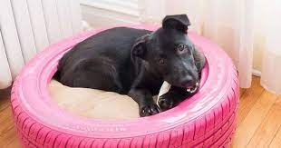 Dogs beds look like giant chewing toys to many dogs. How Are Indestructible Dog Beds Built Diy Designs Materials Etc Indestructable Dog Bed Dog Bed Durable Dog Bed