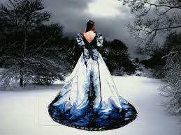 Gothic Wedding Dress Black Wedding Dresses Blue Wedding Dresses Dresses