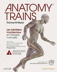 Anatomy Trains Ebook In 2020 Myofascial Train Book Meridians