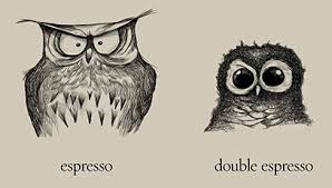 owls talking espresso and great coffee