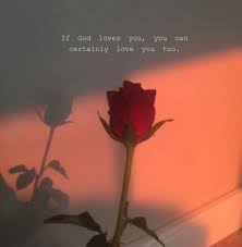 Wallpaper please old wallpaper tumblr wallpaper wallpaper quotes white wallpaper screen wallpaper lyric poem lyric quotes song lyrics. Iphone Wallpaper Tumblr Aesthetic Roses 16 Ideas Aesthetic Roses Iphone Wallpaper Tumblr Aesthetic Rose Quotes